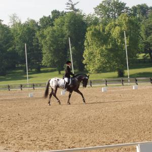 Dusty ridden by Nancy Sterritt